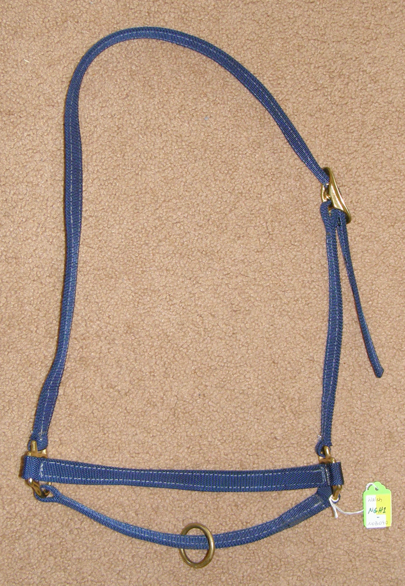 halters horse